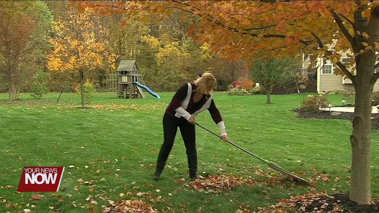 Leaf bags are now available for Lima residents